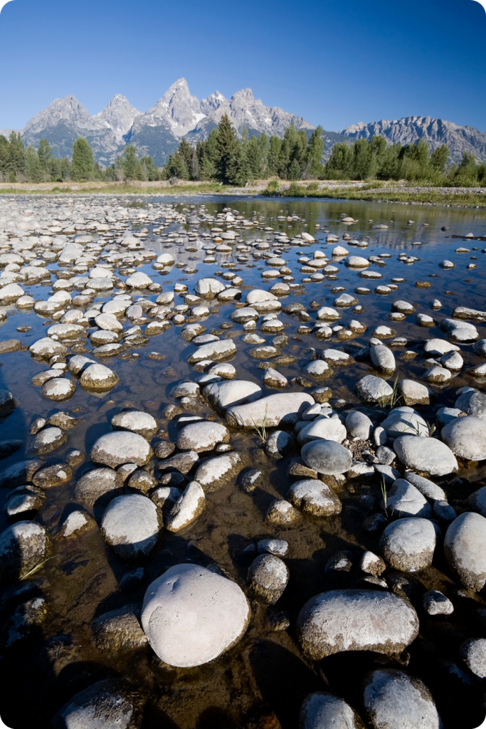 Jackson Hole Snake RIVER
