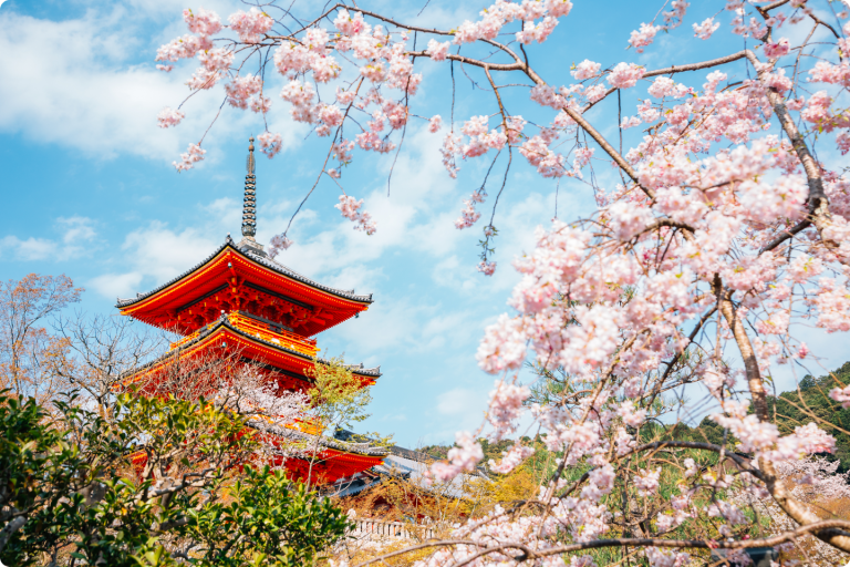 Kyoto, Japan Travel Agent