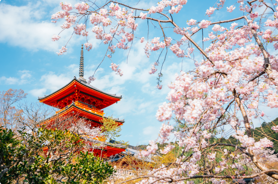 Kyoto, Japan Travel Agent