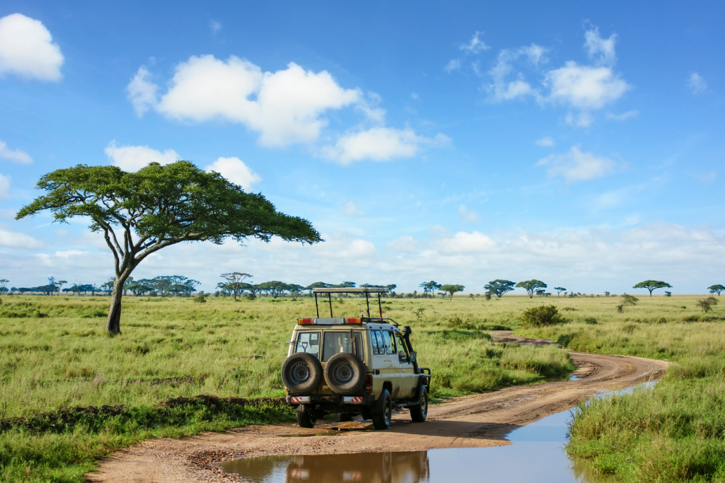 African Safari Tour Travel Agent