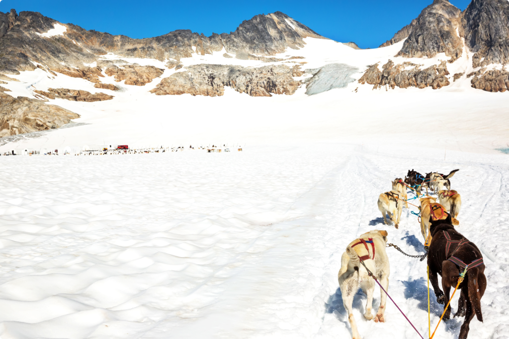 Skagway, Alaska Dog Sleight Booking