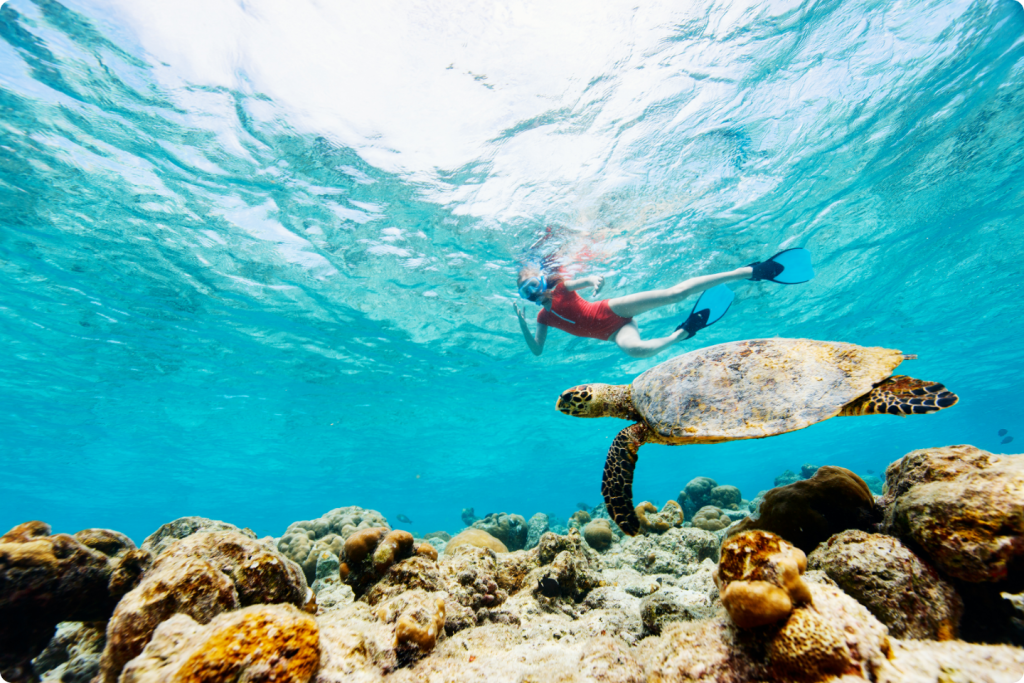 Snorkeling Travel Agent